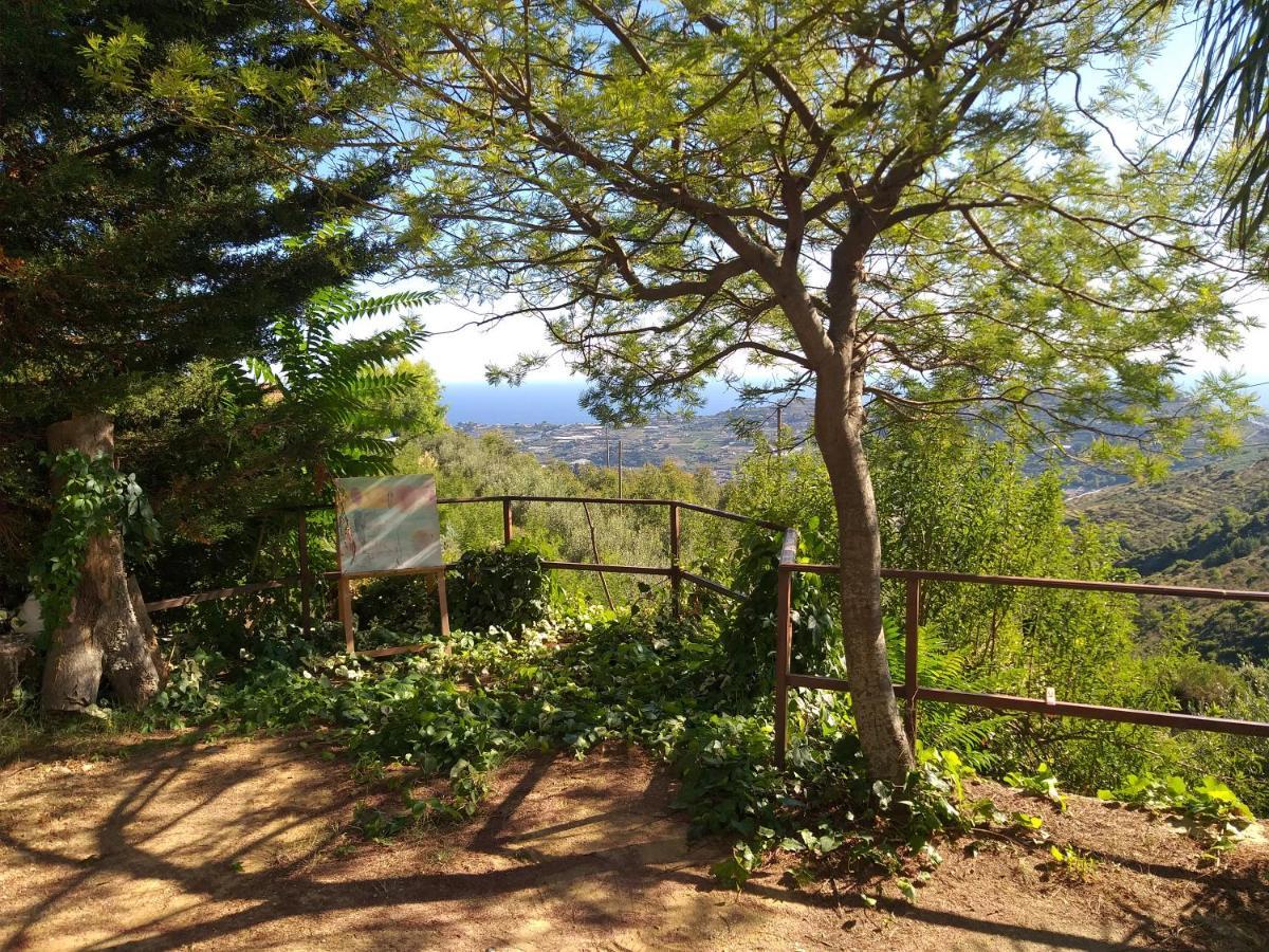Detached House With Garden And Sea View Casa de hóspedes Sanremo Exterior foto