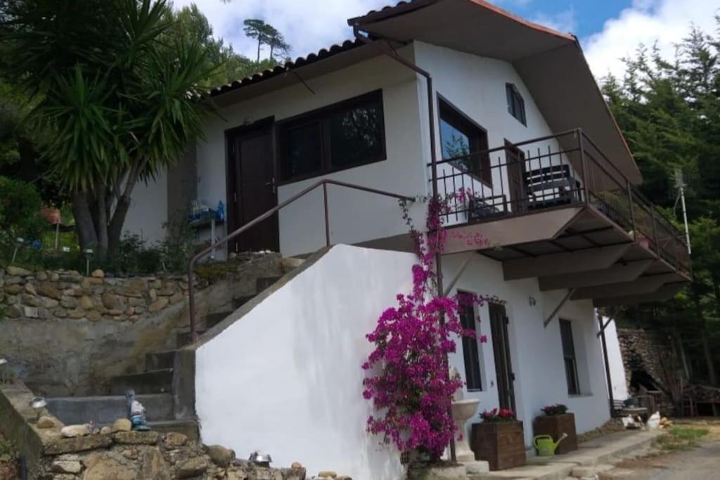 Detached House With Garden And Sea View Casa de hóspedes Sanremo Exterior foto